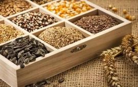 Сколько семян в грамме? Таблица соответствия. Сроки годности семян.