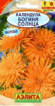 00012365_Календула Богиня Солнца (Аэлита)