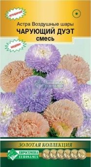 00041644_Астра Чарующий дуэт Воздушные шары густом