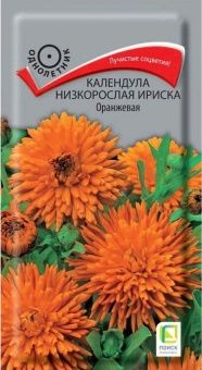00035365_Календула Ириска Оранжевая низкорослая 10