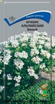 00033890_Арабис альпийский Белый (ПОИСК)