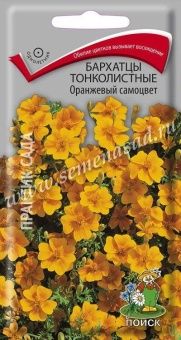 00039911_Бархатцы Оранжевый самоцвет тонколистные 