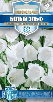 00030427_Колокольчик Белый Эльф персиколистный сер