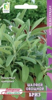 00041017_Шалфей овощной Бриз 0,5гр. (ПОИСК)