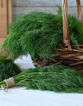 45dutk2vphmakf1jxfzv3aeyv99b2ohi