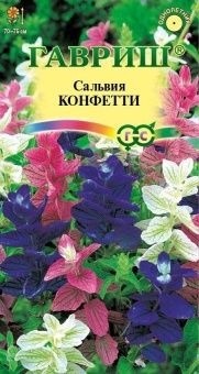 00007974_Сальвия Конфетти (Гавриш) 1_1000