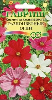 00008567_Космея Разноцветные огни (Гавриш) 11000