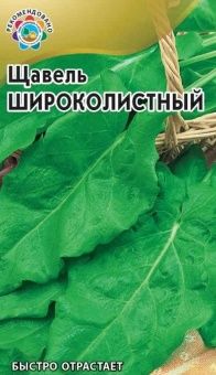 00008222_Щавель Широколистный (Гавриш) 1_700