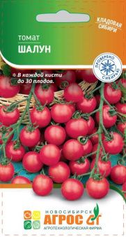 томат шалун