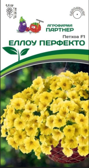 Снимок