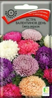 00041030_Астра Валентинов день Смесь окрасок  0,2г