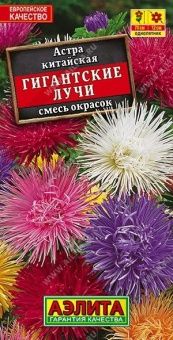 00003661_Астра Гигантские Лучи смесь (Аэлита)