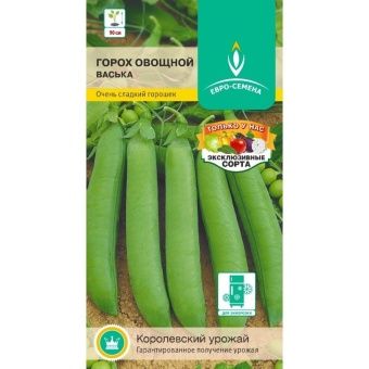 _ВАСЬКА~150-800x800