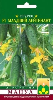 00013738_Огурец Младший Лейтенант (Манул)