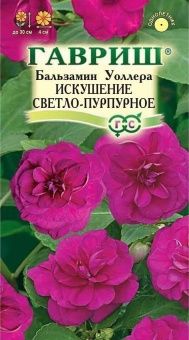 00000265_Бальзамин Уоллера Искушение светло-пурпур