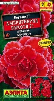 00033795_Бегония Америгибрид Пикоти красное кружев