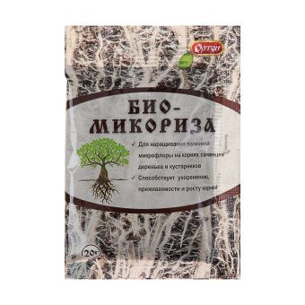 00027291_Биомикориза 20г (Ортон)