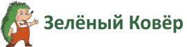 Зеленый ковер