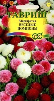 00007721_Маргаритка Веселые помпоны (Гавриш) 1_100