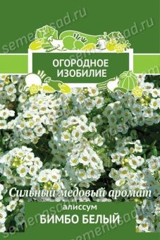 00033881_Алиссум Бимбо белый Огородное изобилие 0,3г (ПОИСК)