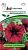 Петуния Фернанда F1 крупноцветковая полуампельная 5шт серия Супремо (Партнер)