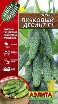 00020343_Огурец Пучковый Десант (Аэлита)