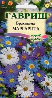 00007853_Брахикома Маргарита (Гавриш) 11000