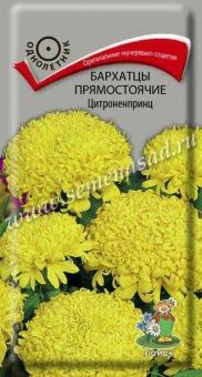 00041054_Бархатцы Цитроненпринц прямостоячие 0,4гр