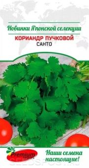 00037048_Кориандр Санто пучковой (Премиум Сидс)