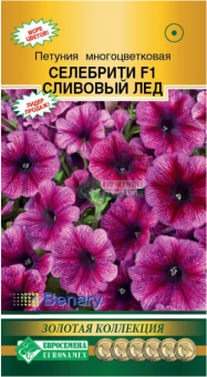 00041668_Петуния СЕЛЕБРИТИ Сливовый лед F1 многоцв