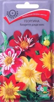 00021348_Георгина Коларетте Дэнди микс 0,2г (ПОИСК
