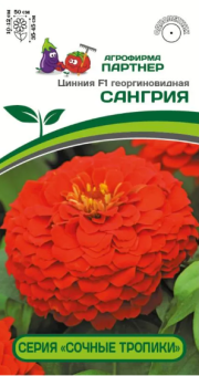 Цинния Сангрия