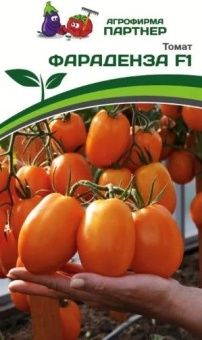 Снимок экрана 2023-01-25 170437