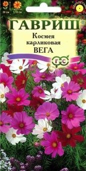 00007905_Космея Вега (Гавриш) 11000