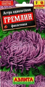 00022717_Астра Гремлин фиолетовая (Аэлита)