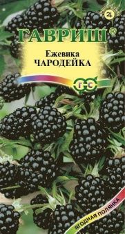 00007173_Ежевика Чародейка (Гавриш) 1_800
