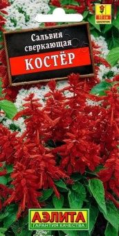 00009106_Сальвия Костер (Аэлита)