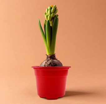 Горшок круглый Color