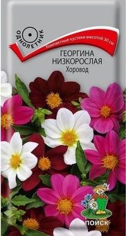 00021349_Георгина Хоровод низкорослая 10шт (ПОИСК)