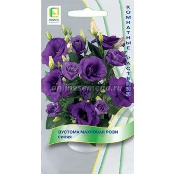 00041163_Эустома Рози Синяя махровая 5 шт (ПОИСК)