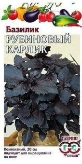 00003718_Базилик Рубиновый Карлик (Гавриш) 1_800