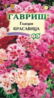 00007872_Годеция Красавица махровый смесь (Гавриш)