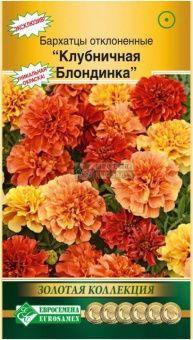 00042738_Бархатцы Клубничная блондинка отклоненные