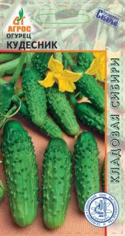 ЦБ-00023226_Огурец Кудесник 10шт (Агрос)