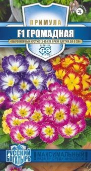 00025268_Примула Громадная (Грандиссима) смесь 5шт