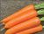 00030734_Морковь ГРАНУЛЫ Несравненная 300шт серия 