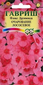 00025979_Флокс Очарование лососевое друммонда 0,05
