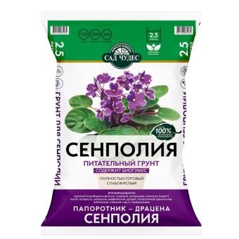 00002642_Сад Чудес Сенполия 2,5л (Норд Палп)