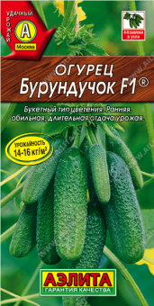 Снимок экрана 2025-10-23 152744