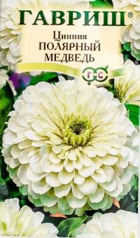 00008212_Цинния Полярный медведь изящная (Гавриш) 